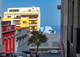 008 - icod de los vinos